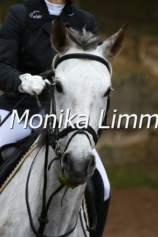 005L4952_Reda_Spring  Ax.JPG